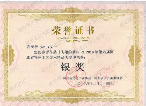 银奖·2018-飞翔的梦获银奖